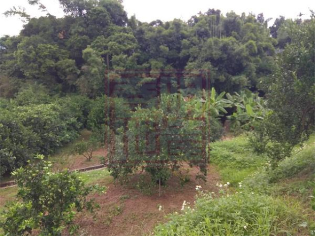 北埔鄉麥客田園1277坪休閒農地(二)-春明地產-035551111