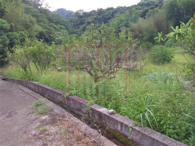 北埔鄉麥客田園1277坪休閒農地(二)-春明地產-035551111