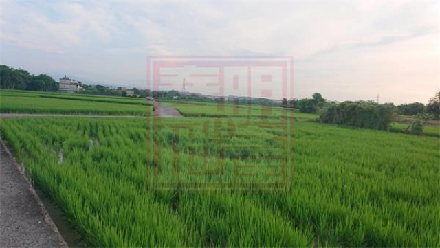竹北市璞玉計畫111坪農地(持分)-春明地產-03555111