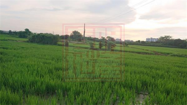 竹北市璞玉計畫111坪農地(持分)-春明地產-03555111