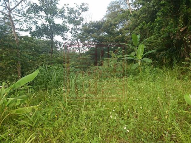 橫山鄉八十分段421坪休閒農地-春明地產-035551111