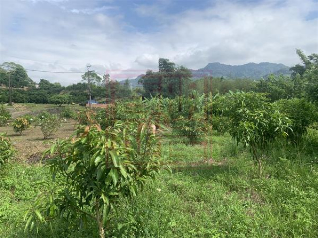 北埔大湖路大面寬方正農地-春明地產-035551111