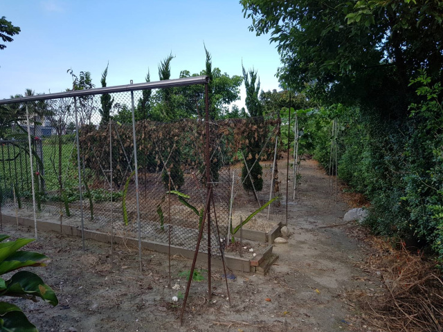 知卡宣田園風格大農舍(花蓮建地房屋-珈妤)