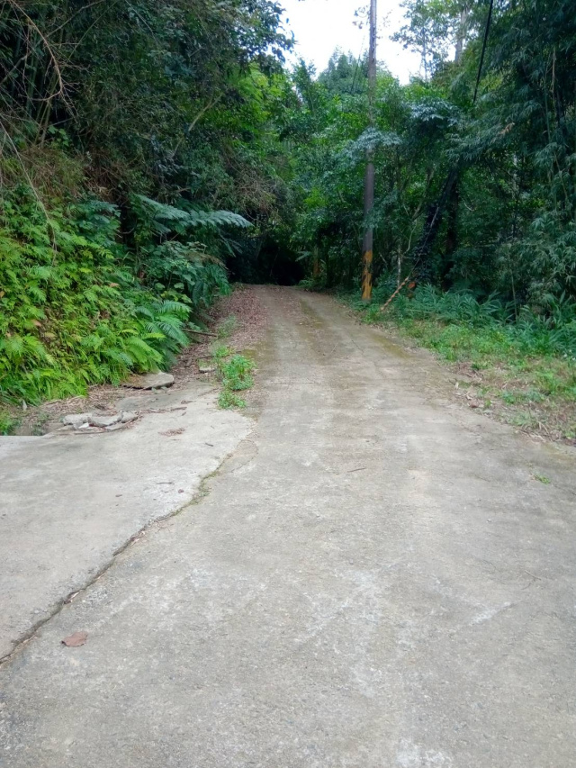 百壽村農牧用地農地田地林地4萬坪台三線旁-露營區農場