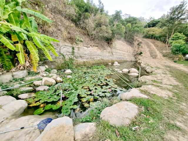 夢幻正臨湖邊合法農舍+資材室休閒美地