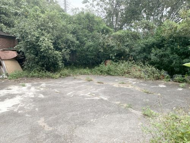 舊式平房(建地)+農林地