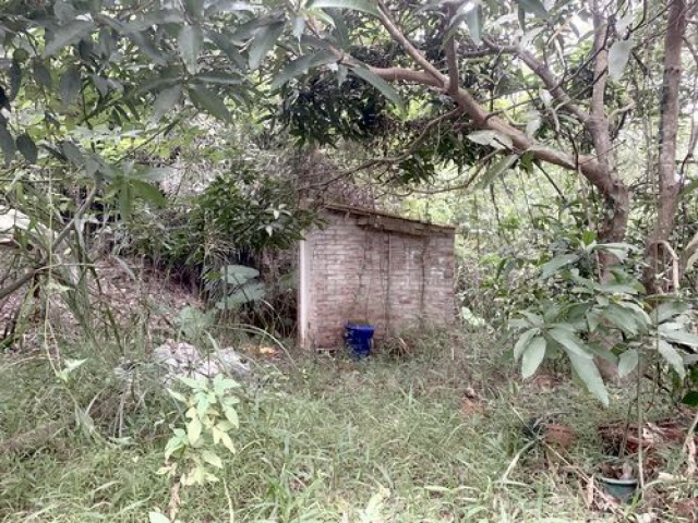 舊式平房(建地)+農林地