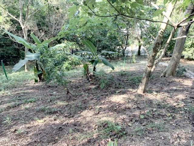 通宵木屋休閒用地*-*買地送屋、成彥不動產