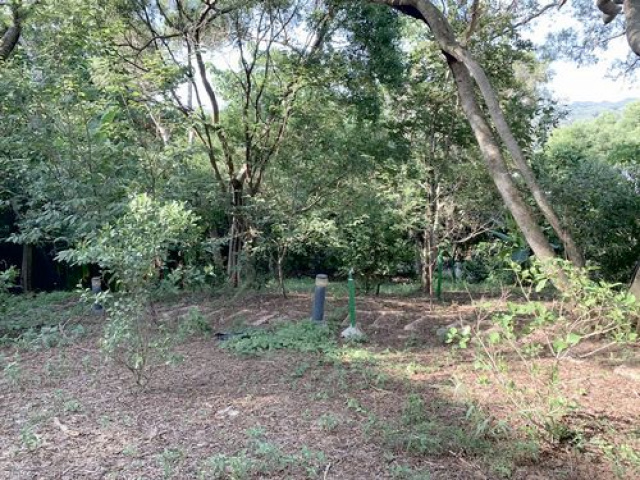 通宵木屋休閒用地*-*買地送屋、成彥不動產