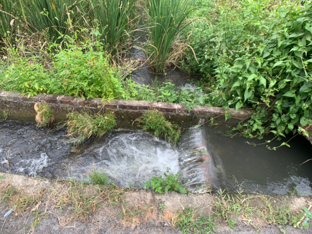 埔里守城水筍美田