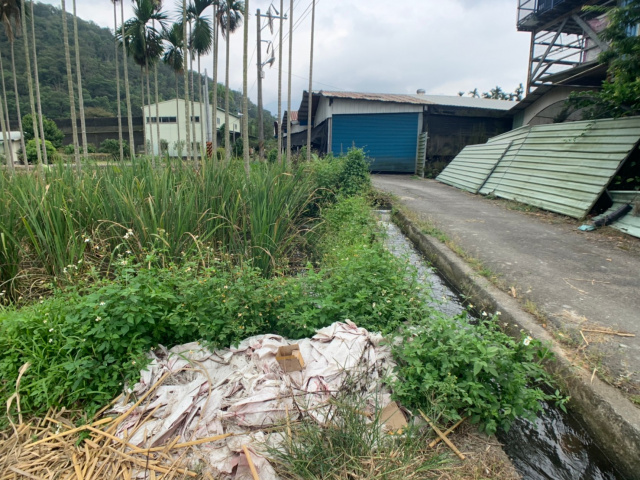 埔里守城水筍美田