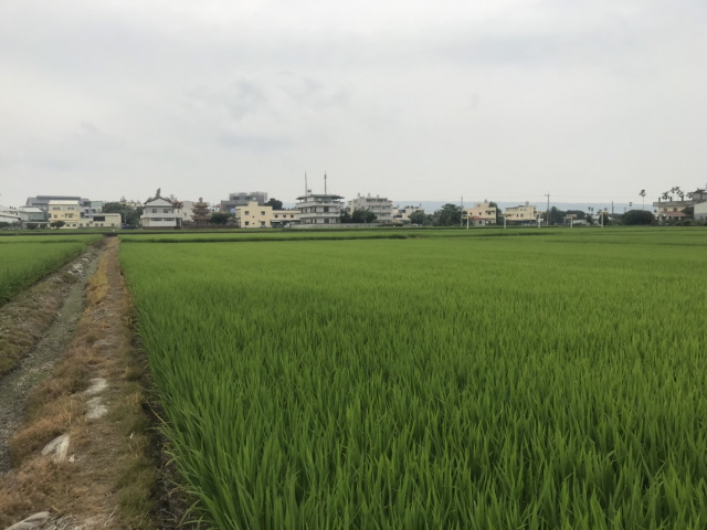 草屯國3交流道！方正農地！