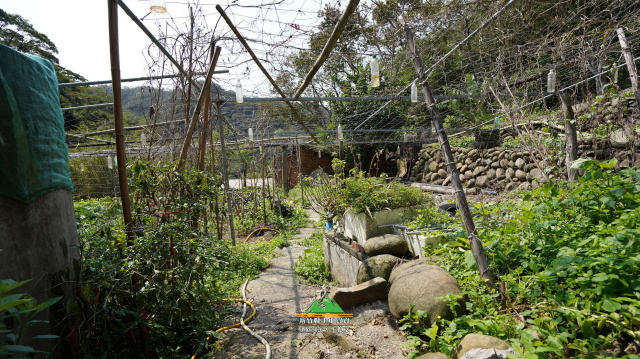新竹縣王爺坑芎林老宅院+農林地
