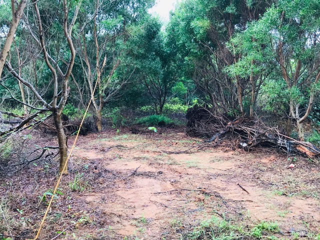 恆春白沙灣美農地