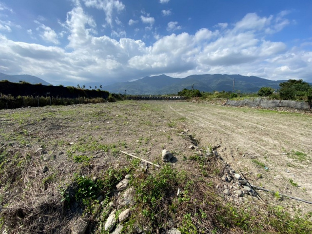 台東知本漂亮農地