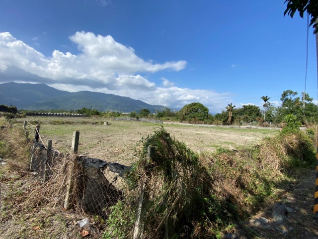 台東知本漂亮農地