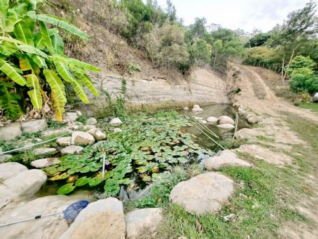 夢幻正臨湖邊合法農舍+資材室休閒美地