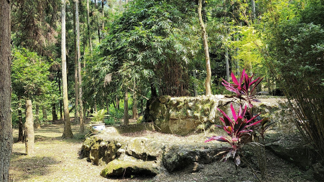 苗栗南庄杉木園合法農舍土地1833坪、售價1980萬