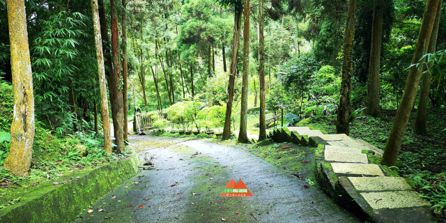 苗栗南庄杉木園合法農舍土地1833坪、售價1980萬