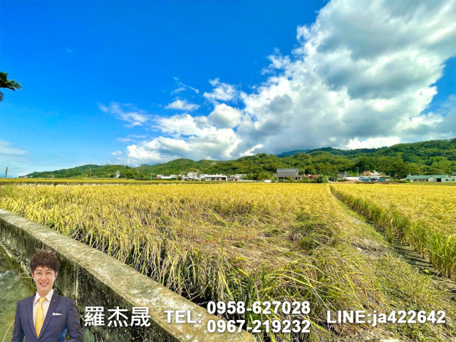 專簽台東黃金農地可觀光農場露營地看熱氣球