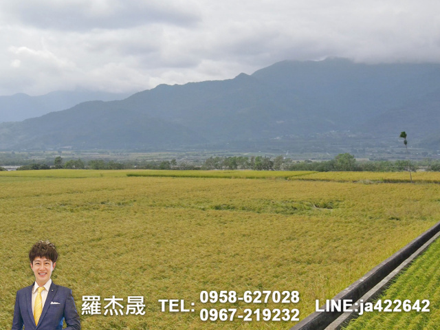 專簽台東黃金農地可觀光農場露營地看熱氣球