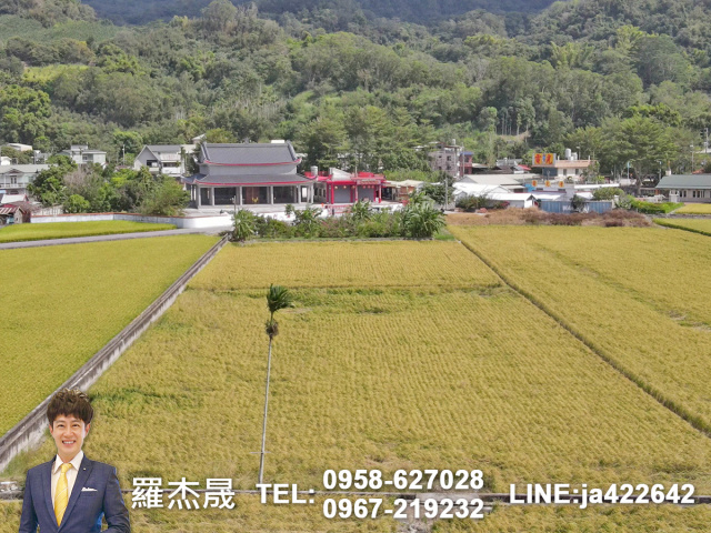專簽台東黃金農地可觀光農場露營地看熱氣球
