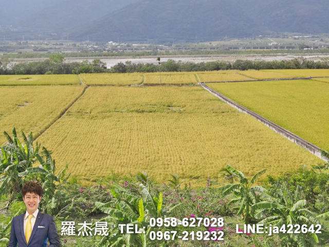 專簽台東黃金農地可觀光農場露營地看熱氣球