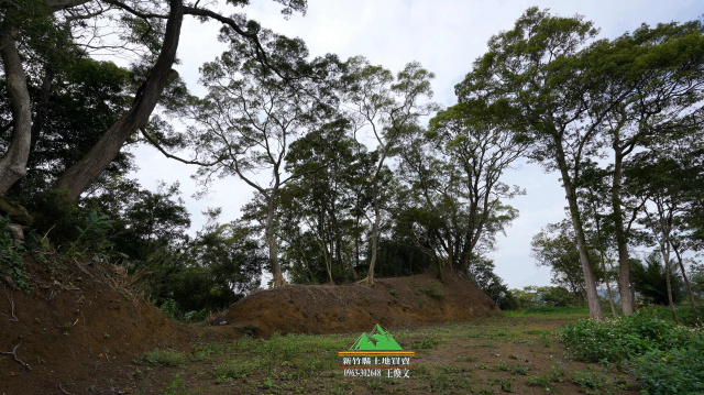 新竹縣橫山八十份景觀地土地1011坪售價1000萬