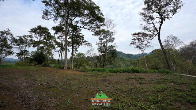新竹縣橫山八十份景觀地土地1011坪售價1000萬