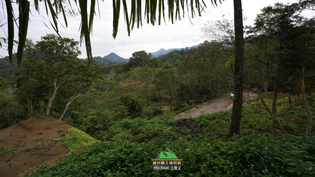 新竹縣橫山八十份景觀地土地1011坪售價1000萬