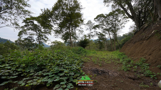 新竹縣橫山八十份景觀地土地1011坪售價1000萬