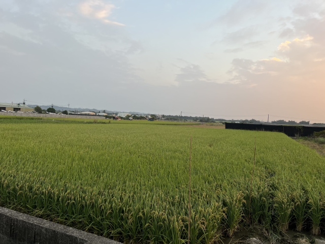 台南柳營新厝段農地（離水源頭不遠）
