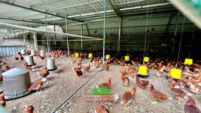 新竹縣芎林王爺坑益生菌養雞場-新竹縣土地買賣