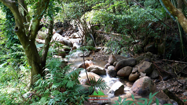 新竹縣芎林鹿寮坑綠色小徑臨溪梯田-新竹縣土地