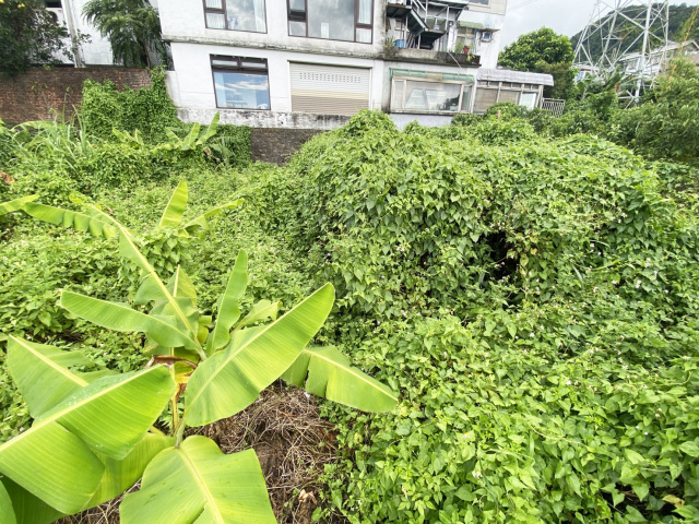 南天母樂活農園