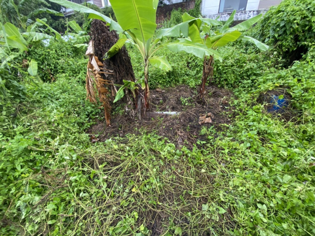南天母樂活農園