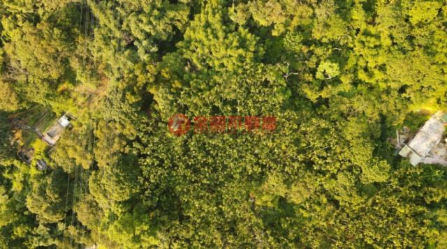 彈藥庫低總價小農園
