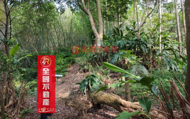 彈藥庫低總價小農園