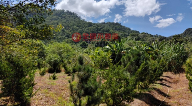 三峽溪東段農牧地