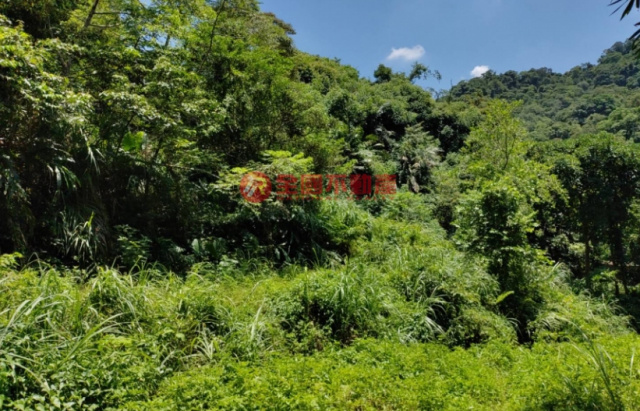 三峽溪南段農牧地