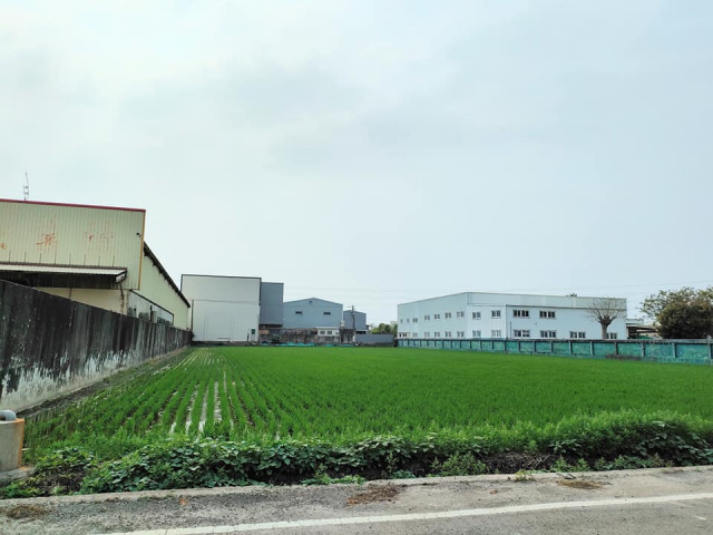 福興鄉近東外環田