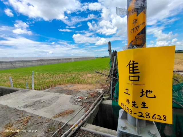 大路旁方正填土大農地