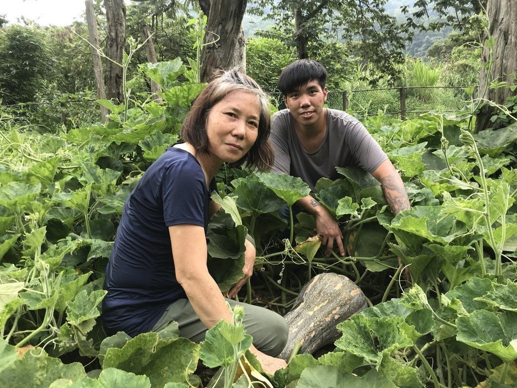 老師轉行種有機蔬菜 水電工兒子加入當青農-台灣青農讚