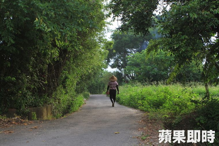 錯誤政策讓農地變工業地39年　農民無毒耕作過不了「有機」這關